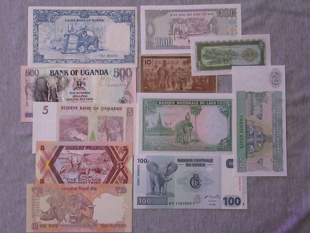 ELEPHANT  banknote set  11 notes ALL NEW NOTES  Burma Lao Uganda