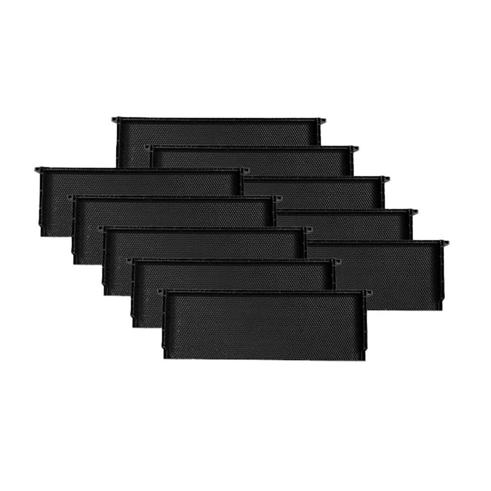 Acorn Full Plastic Frames - 10 Packs