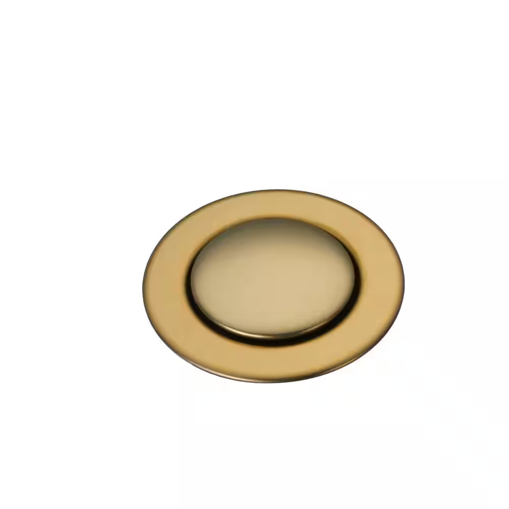 Drain Assembly in Polished Brass