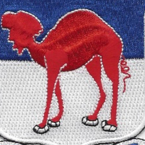 80th Engineering Battalion Patch