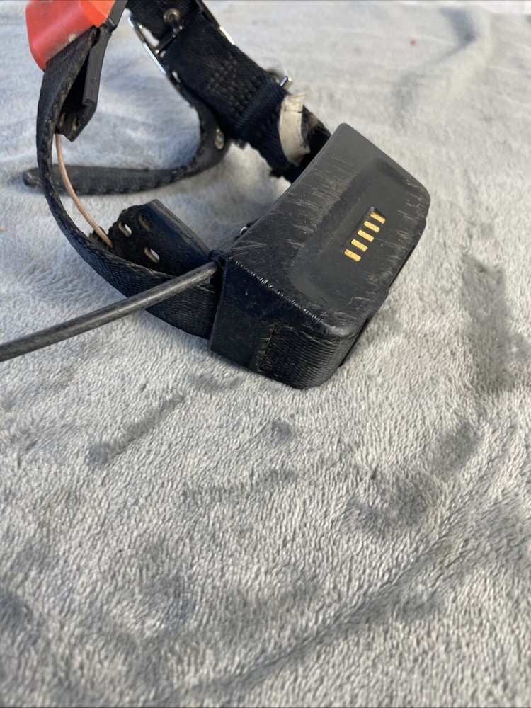 Garmin T5 GPS Dog Tracking Collar