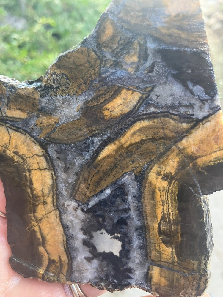 Black And Gold Agate Slab (NM)