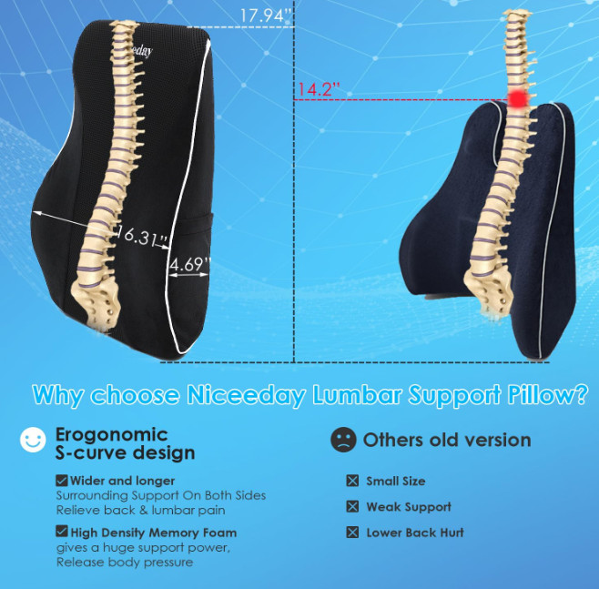 Luxury Memory Foam Lumbar Support Pillow - Ergonomic Back Cushion for Office ...
