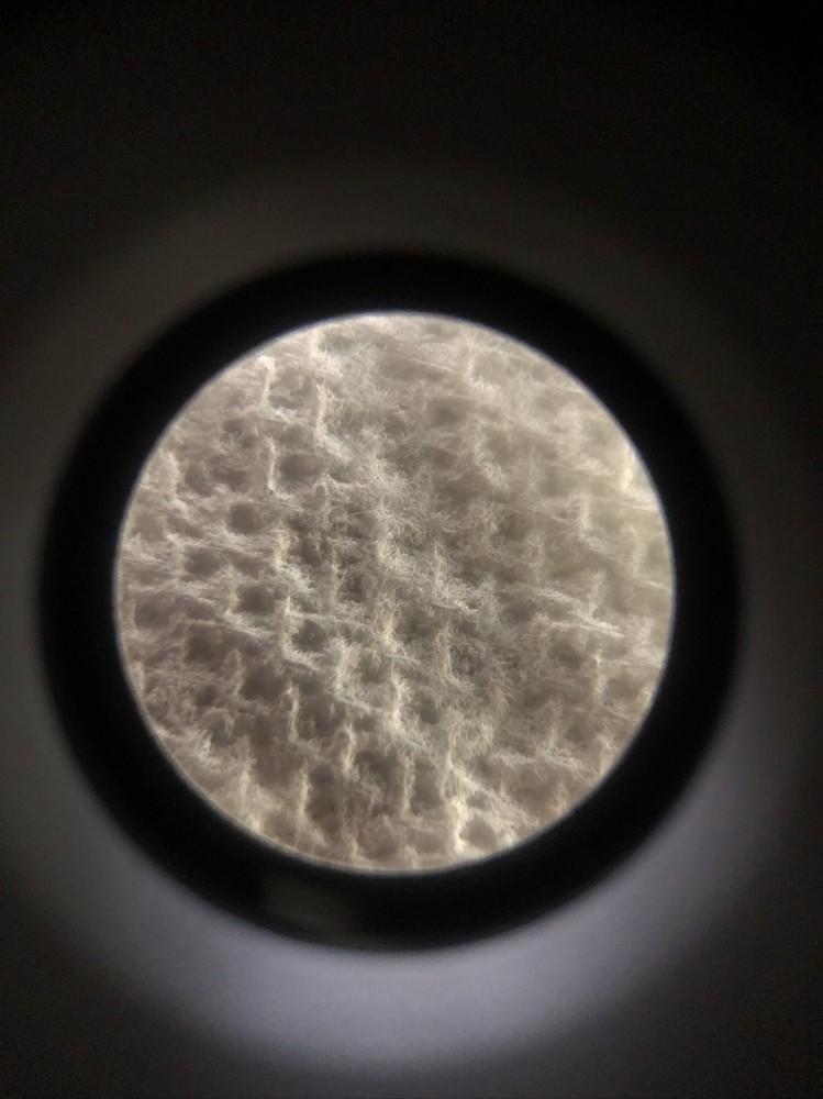 Nikon Stereo Microscope Eyepiece Pair 10x/23