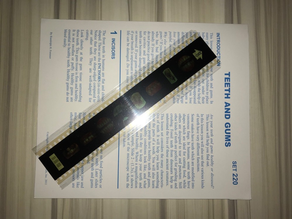 NTA microslide lesson set 220 Teeth and Gums