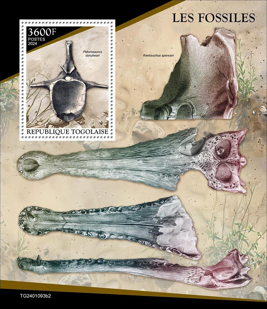 Fossils MNH Stamps 2024 Togo S/S