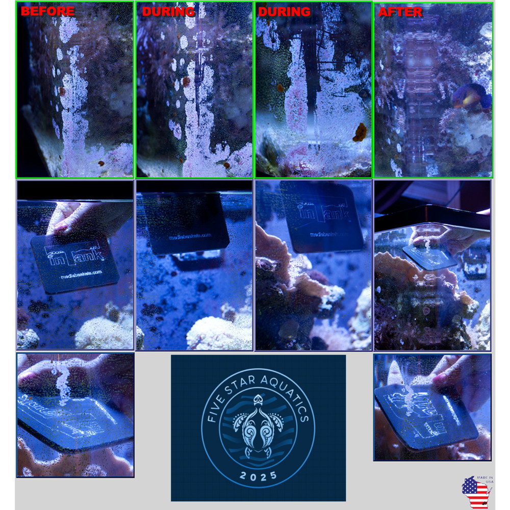 Five Star Aquatics All-in-One Corner Algae Scraper