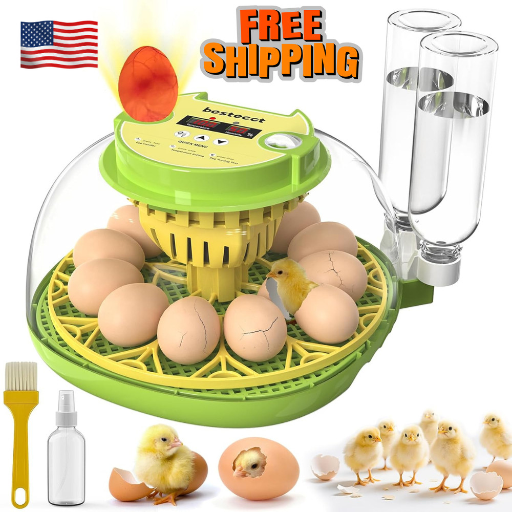 Egg Incubators for Hatching Eggs,12 Egg Incubator with Auto Egg Turning Humidity