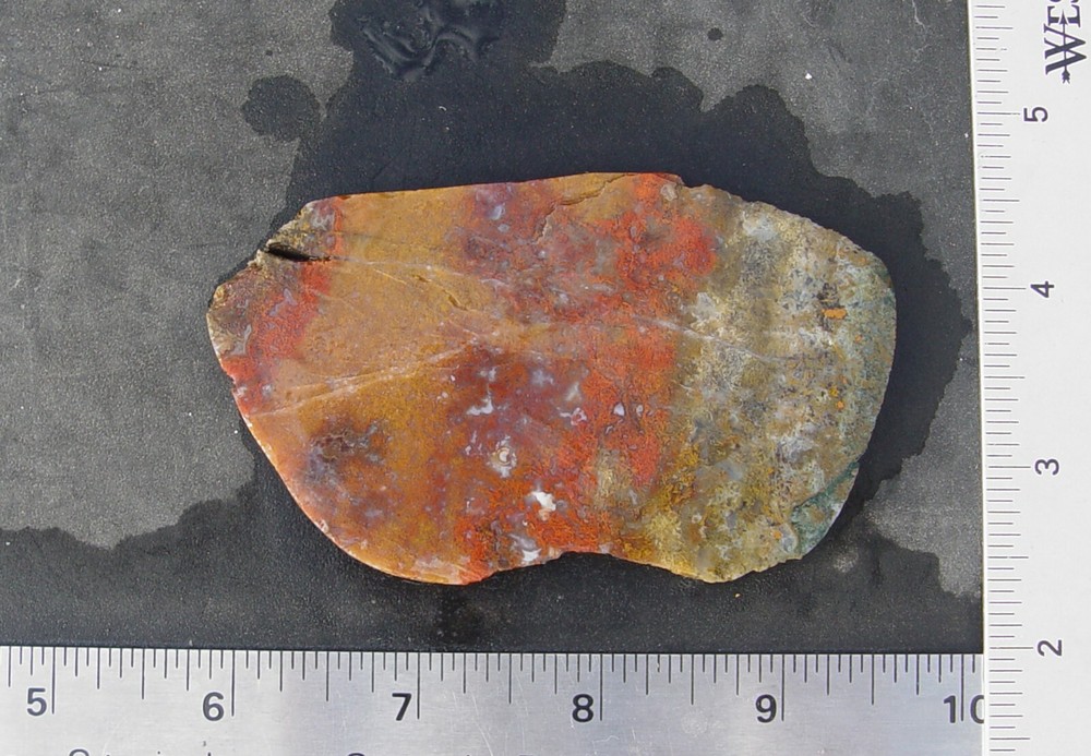 Macaw Agate from Mexico Lapidary Slab T826