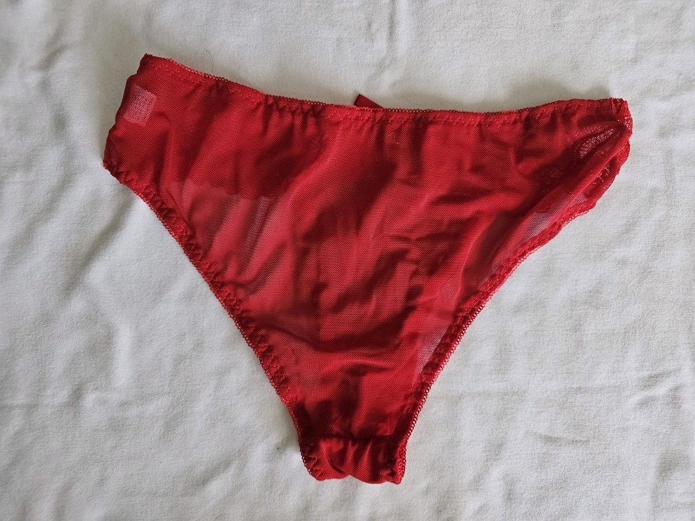 Vintage Lace Bikini Panties
