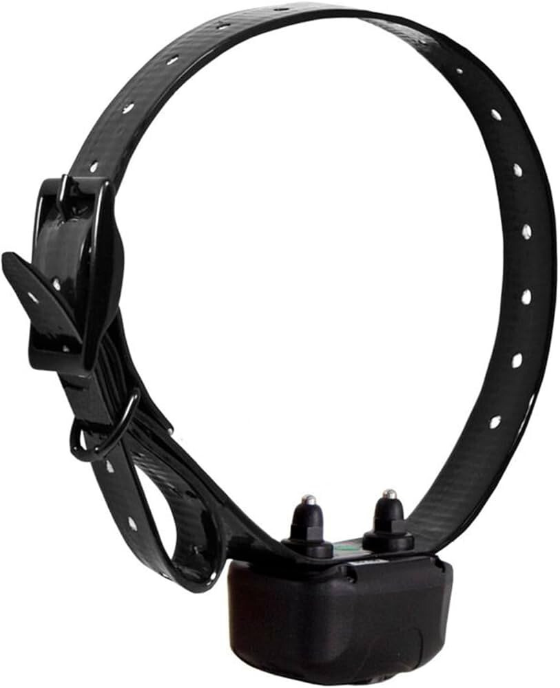 DT Systems DD 700 Add-On Collar Dog Receiver Black Strap MAXX Range