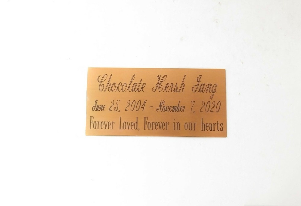 SOLID BRASS SIGN 4" X 2" CUSTOM ENGRAVED