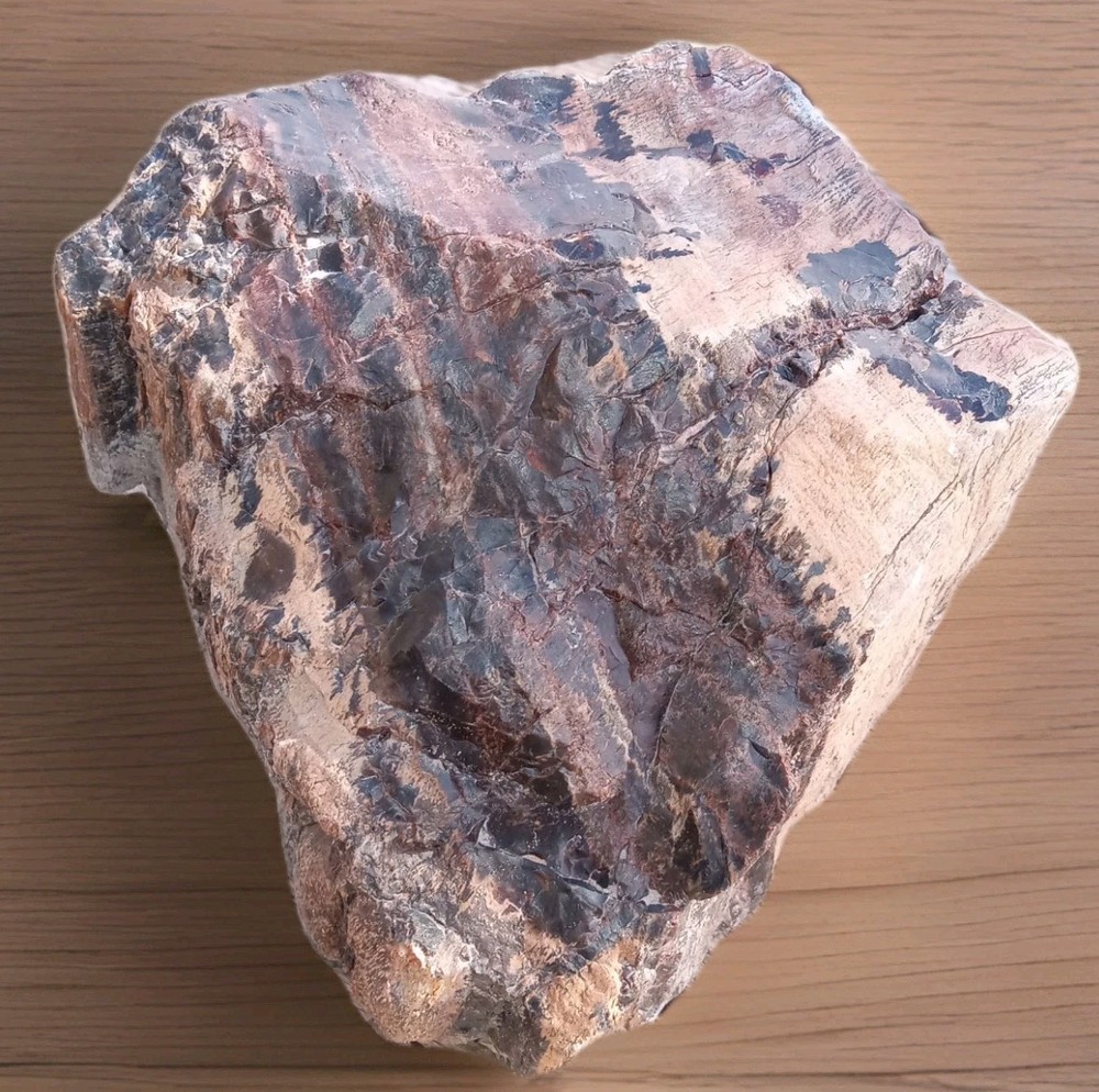 Petrified Wood Rough AZ 4 lbs 8 oz