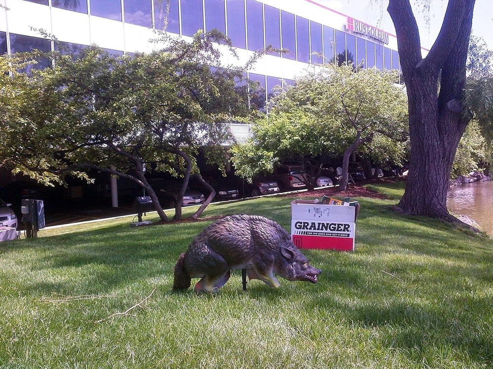 Lifelike 3D Decoy Predator Replica, Wind-Powered Moving Tail, 1 Acre Coverage
