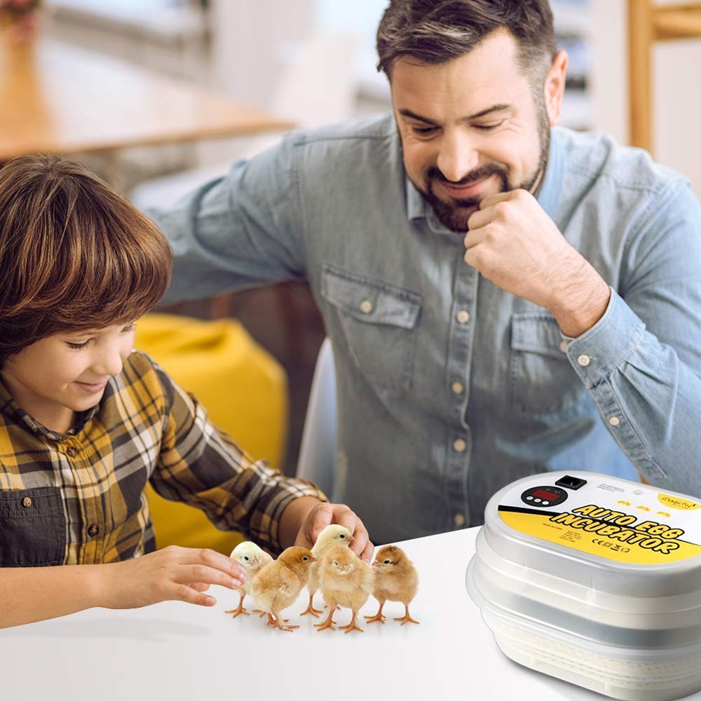 Mini Egg Incubators for Hatching Eggs, with Automatic Egg Turning, 9-12 Eggs ...