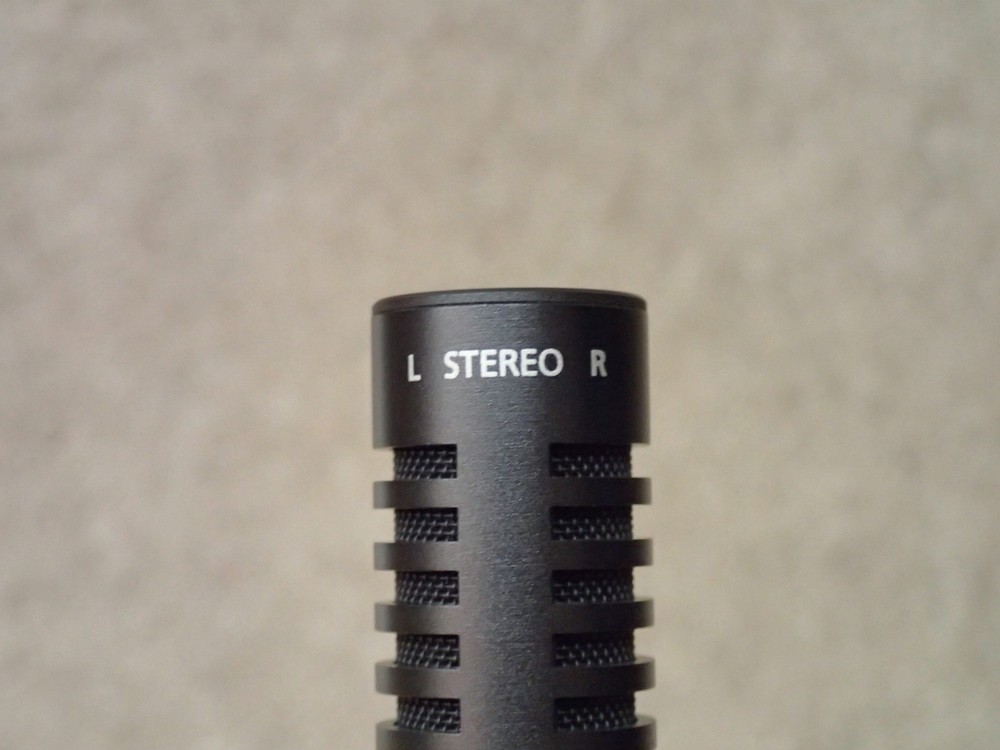 Canon DM-100 Directional Stereo Microphone with Windscreen Nice in Box