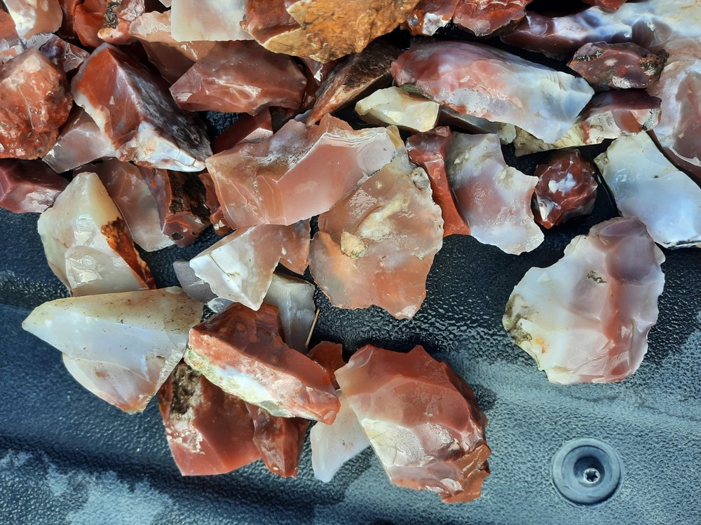 Pigeon Blood Agate 8+ Lbs. Rough Lot!