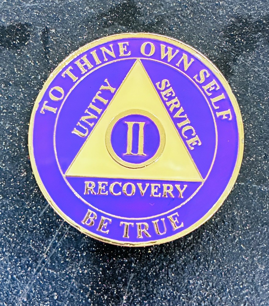 Alcoholics Anonymous 2 Year AA  Medallion Token Chip Coin