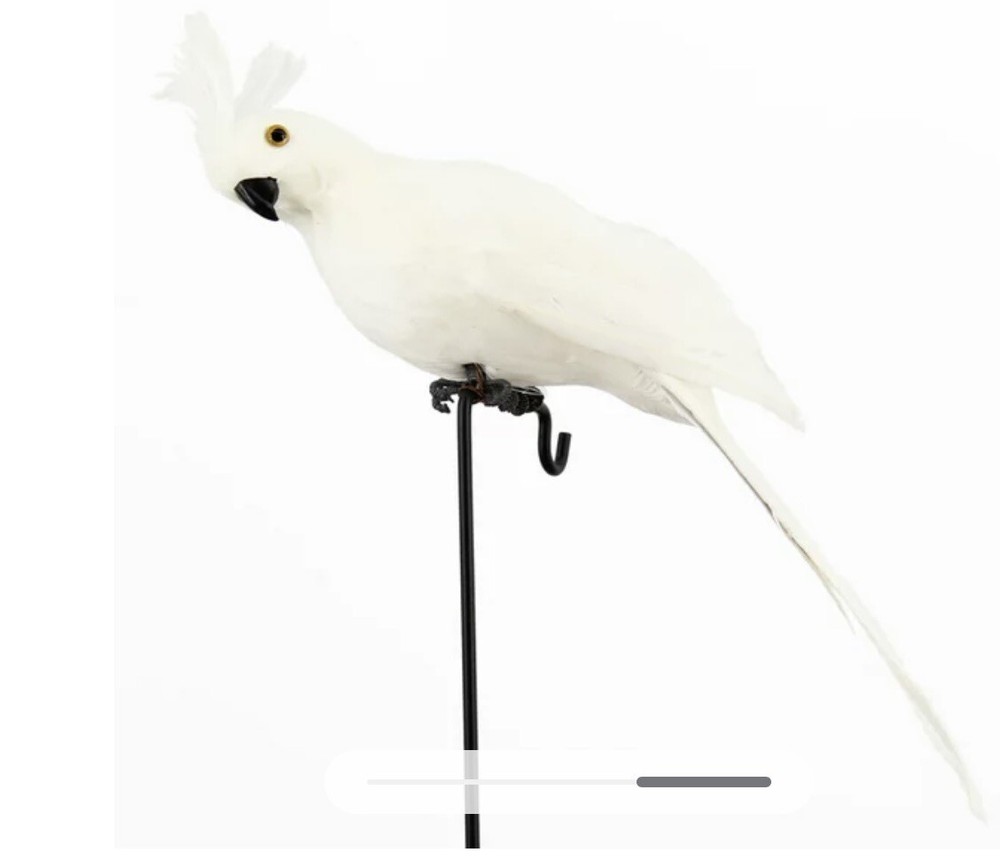 Parrots Artificial Birds