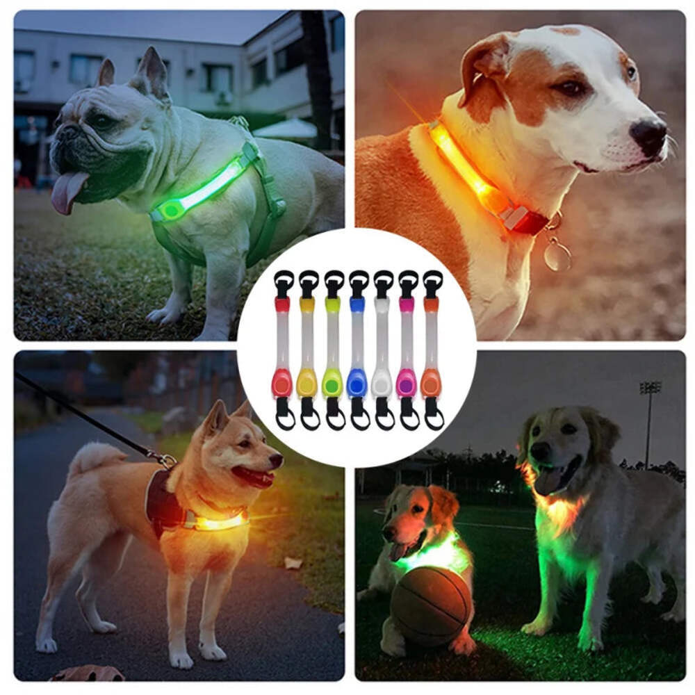 Dog Anti Lost Collar