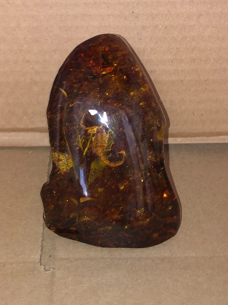 AMBER FOSSIL REPLICA SCORPION INSIDE 5" TALL