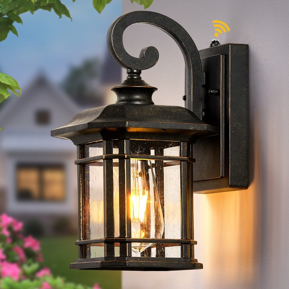 VIANIS Outdoor Lights for House, Dusk to Dawn Outdoor Light Fixture
