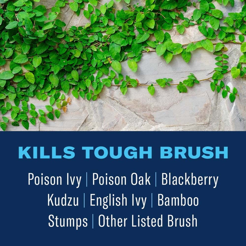 Extended Control Brush Killer, Concentrate, 32 oz