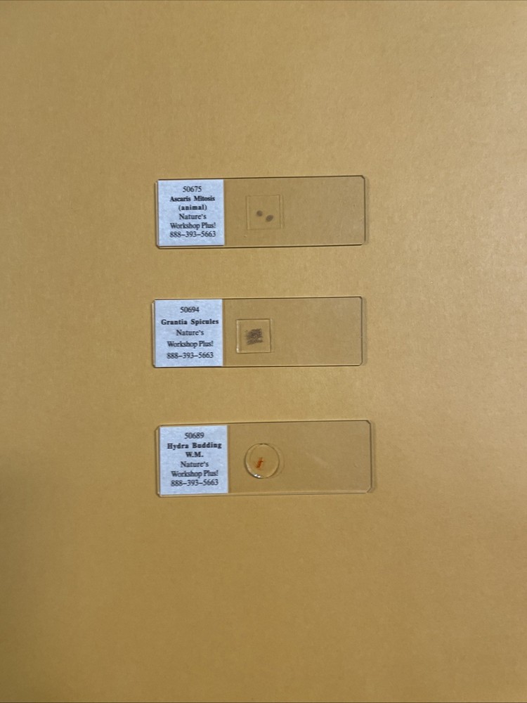 Slide Set for Exploring Creation with Biology - Nature’s Workshop Plus!