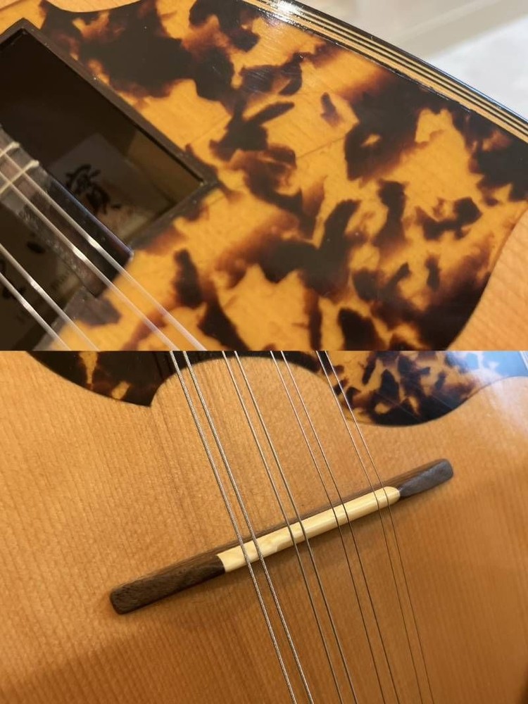 Minoru Noguchi Mandolin String Instrument with Hard Case