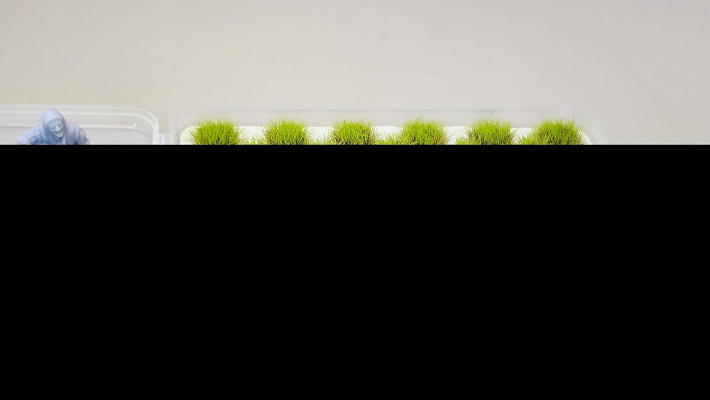JHT - Grass Green Model Grass Clusters - Self Adhesive Grass Tufts - 8mm height