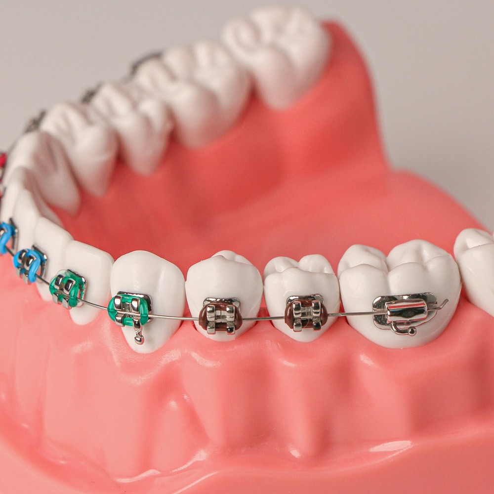 US Dental Typodont Demo Teeth Model1:1 Brushing Flossing Teaching Practice Study