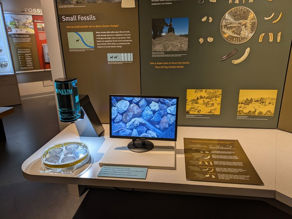 VIP Digital Microscope for Museums, Conservancies, STEM, etc.