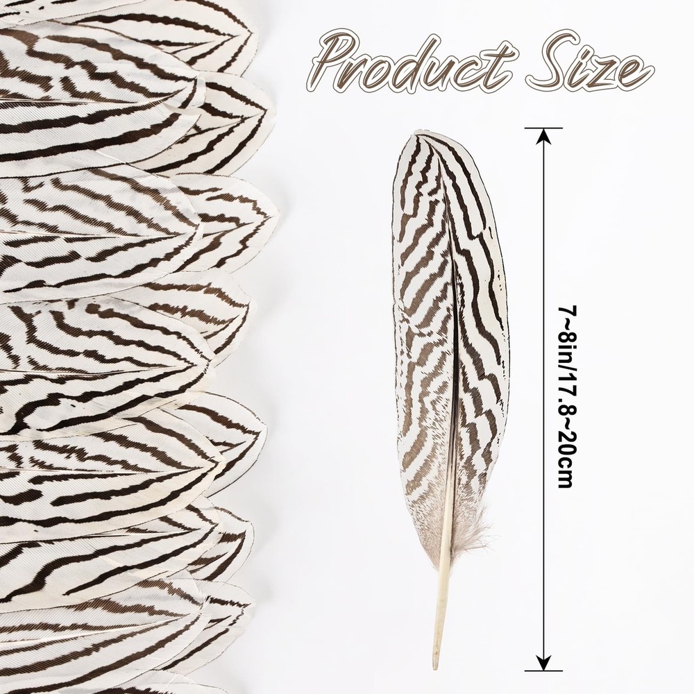 12Pcs Silver Pheasant Feathers Bulk Natural Spotted Feathers Pheasant Feather...
