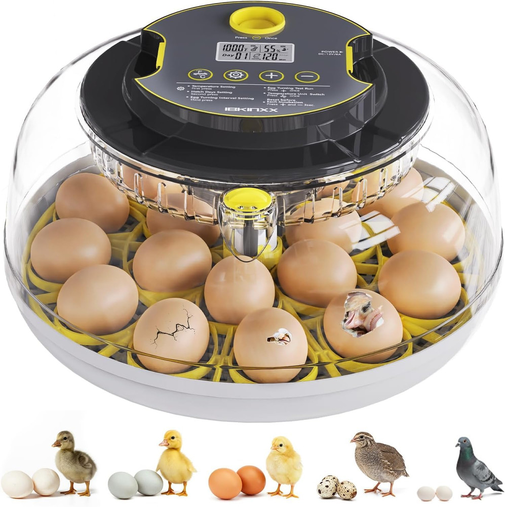 Incubator for Hatching Eggs-18 Egg Capacity, Automatic Egg Turner, Temperature &