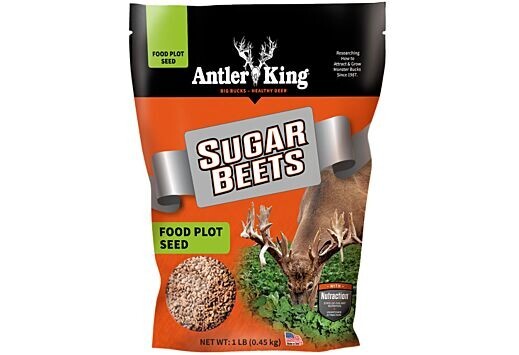 Antler King Game Sugar Beets Food Plot Seed - AKSB1