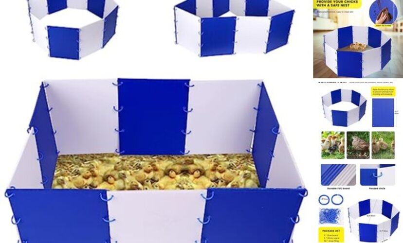 Chick Starter Kit Chicken Brooder Box for 15 Ducks Chicks Portable Coop &