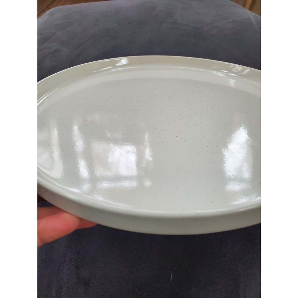 Famiware Nebula DINNER PLATE 10 INCH STONEWARE