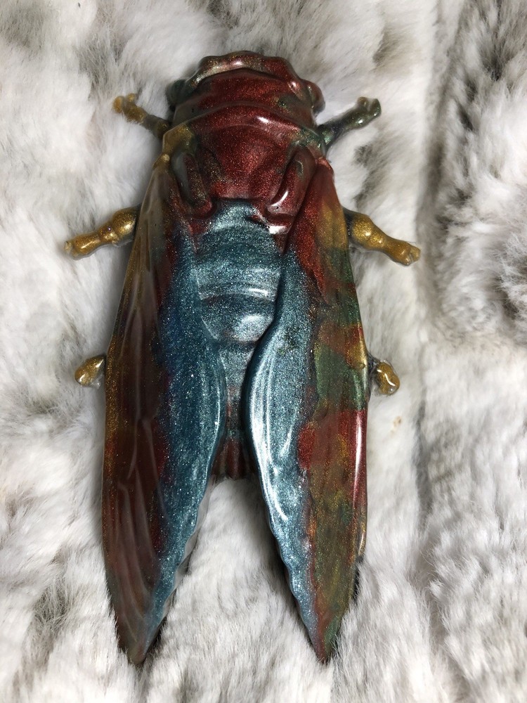 Moth ￼￼ Wall hanging￼
