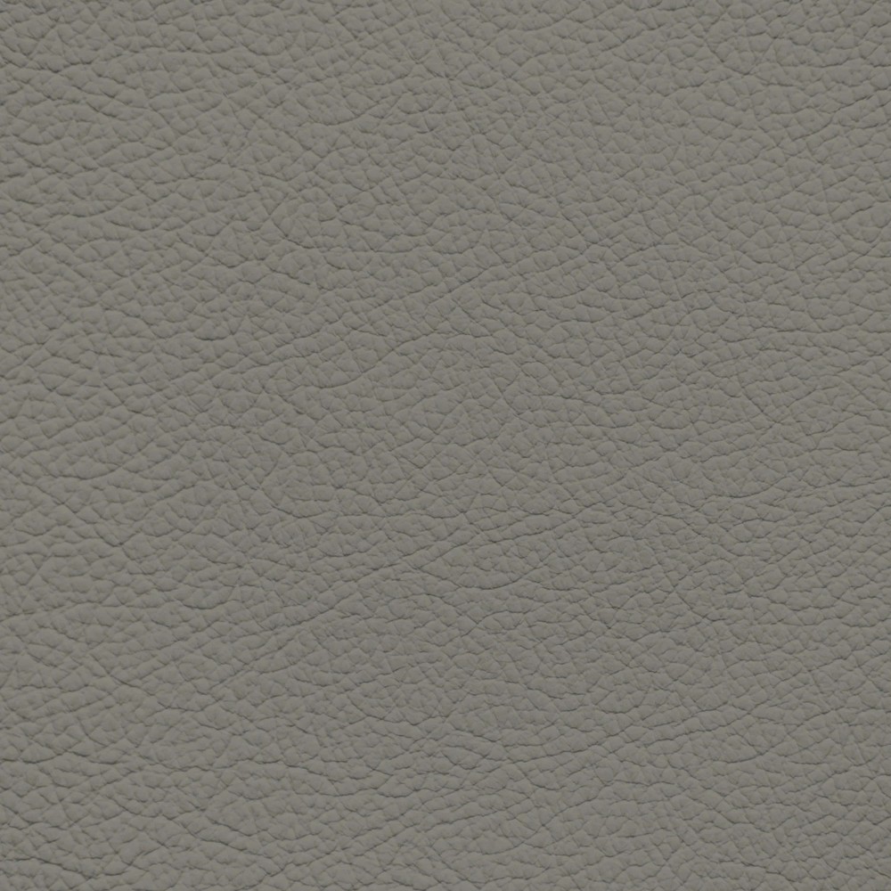 GM Gideon Gray Leather Dye