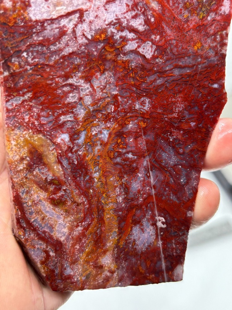 Mexican Red Moss Agate Slabs Lapidary Cabbing Combo Ship Avail