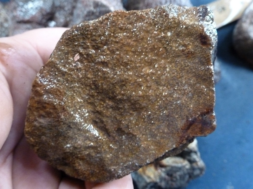 CSS: 6.8 lbs Of Dino Bone Gembone Rough