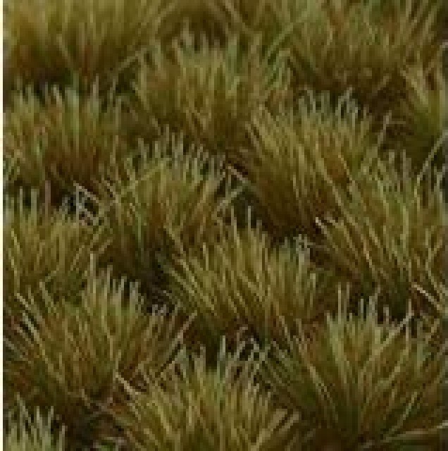 Gamers Grass: Mixed Green Tuft (6mm)