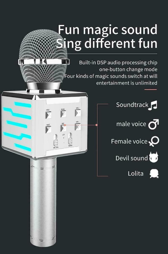 WIRELESS HANDHELD KARAOKE MICROPHONE HIFI SPEAKER SILVER DS868