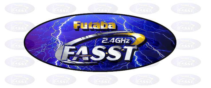 Futaba FASST Graphics Decals RC Plane Airplane