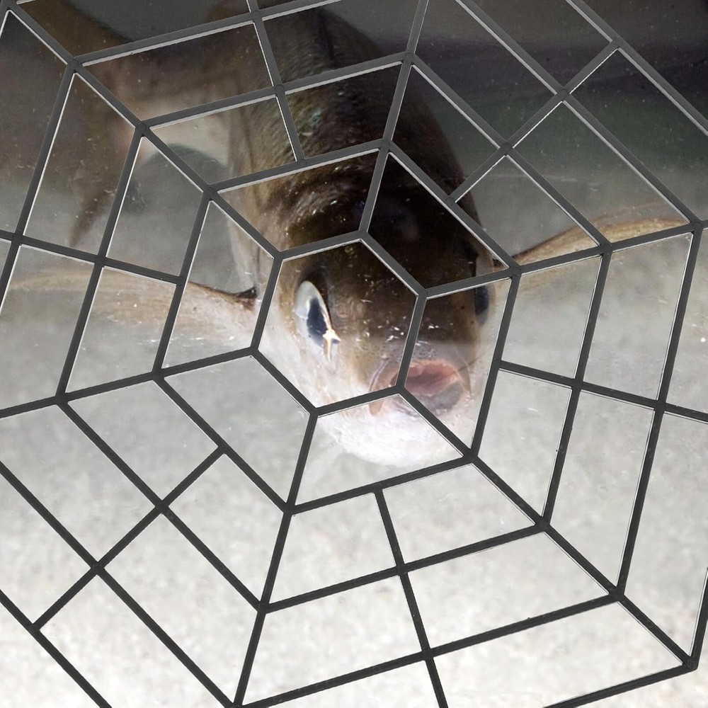 Pond Protectors 10 Pack Guard Netting Protective Net Pool Fish...