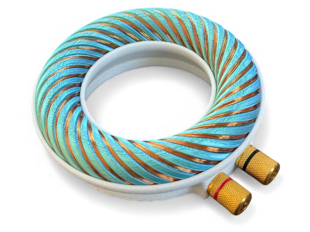 Rodin coil Scalar Wave toroidal field generator module