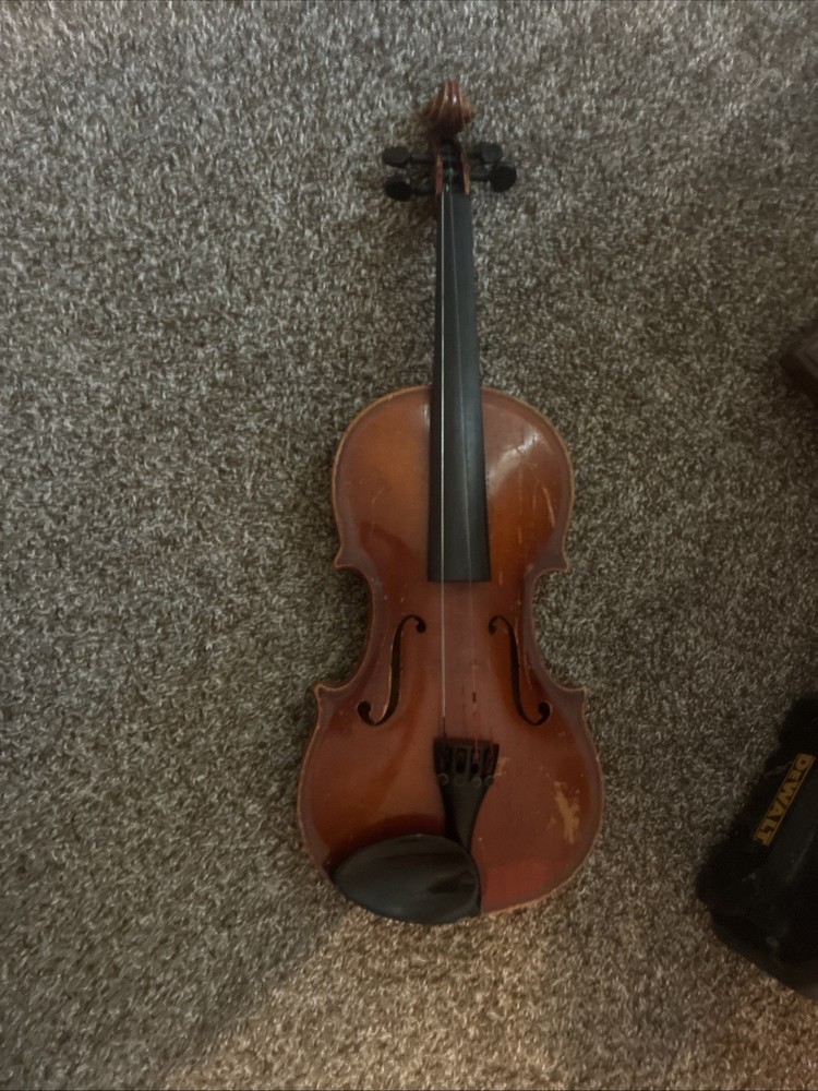 violin