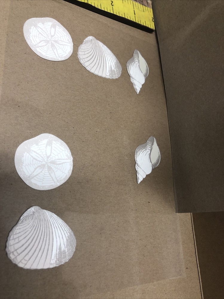 EMBELLISHMENTS-SAND DOLLARS & SHELLS- DIMENSIONAL -6PC SET