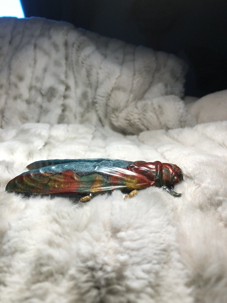 Moth ￼￼ Wall hanging￼