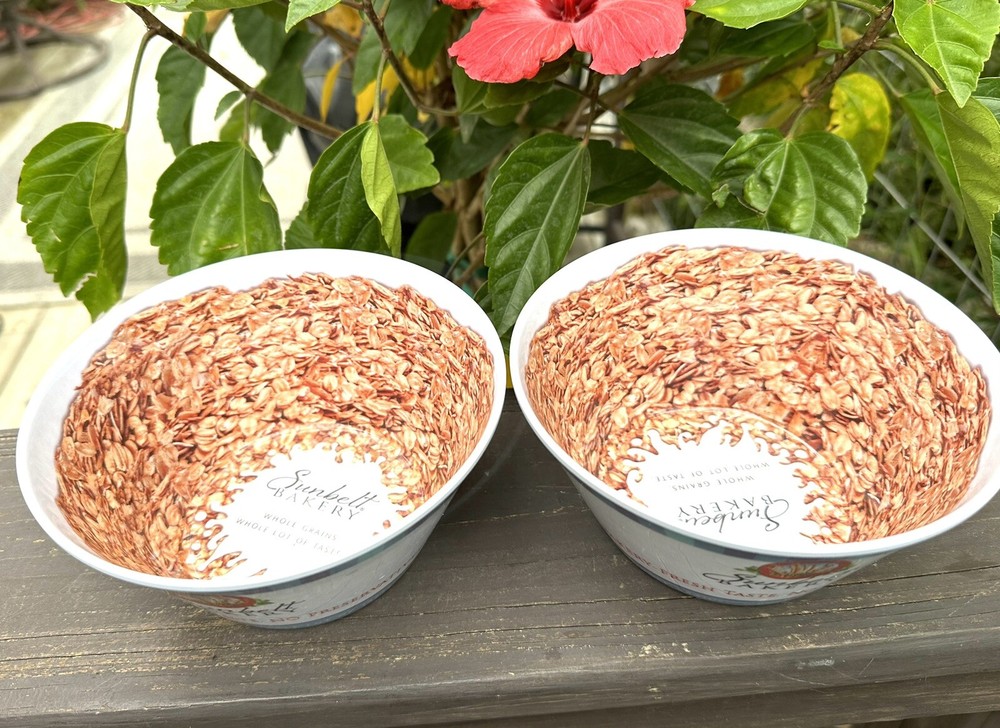 Sunbelt Bakery Plastic Bowl Lot Of 2 EUC